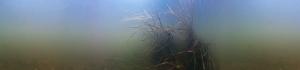 Mymmshall Brook - 2